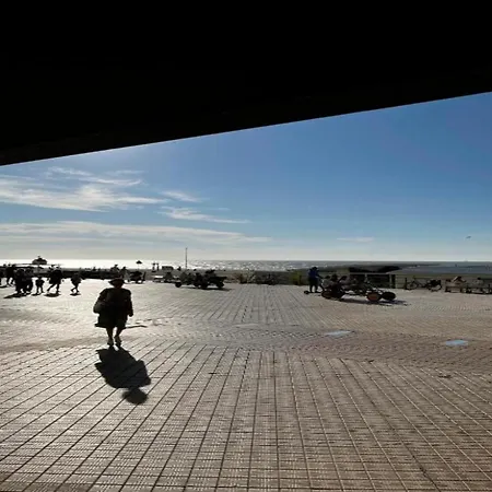 In Near The Oostende